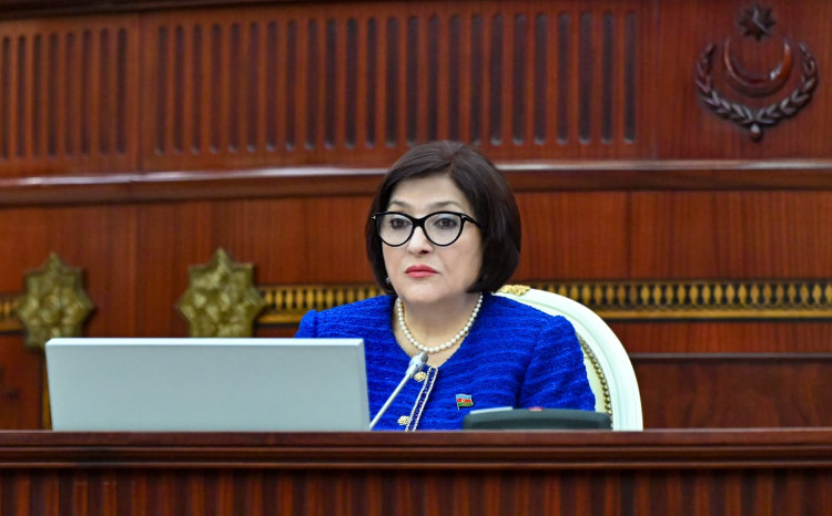 Milli Məclisin sədri Sahibə Qafarovanın parlamentin 2025-ci il 14 mart tarixli plenar iclasında çıxışı 