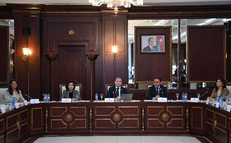 Milli Məclisdə “Cənubi Qafqazda sabitliyə “sülh missiyası” adlı hibrid hücum” mövzusunda ictimai müzakirə keçirilib 