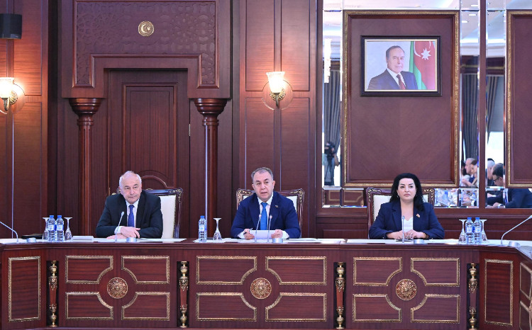 Təbii ehtiyatlar, energetika və ekologiya komitəsinin iclasında 