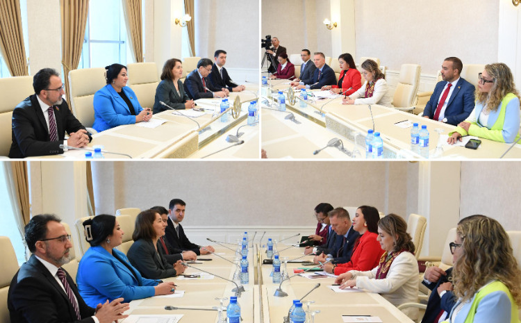 Milli Məclisdə Venesuela parlamentariləri ilə  görüş 