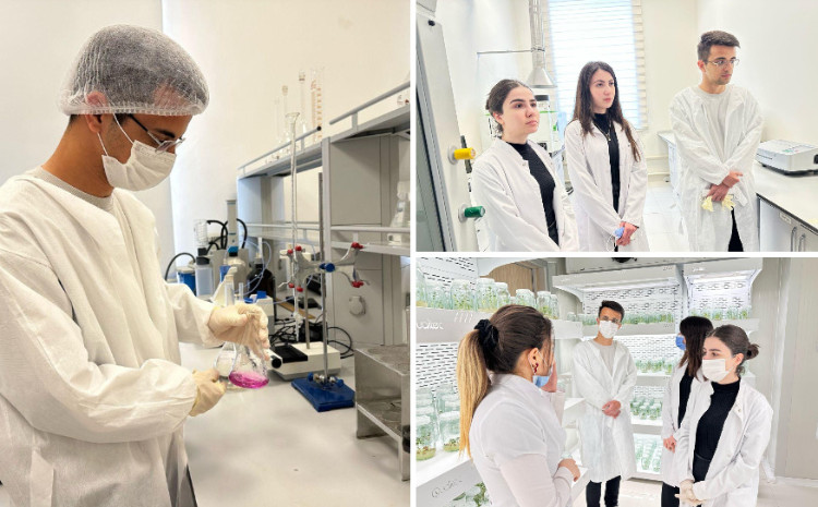 BDU-nun magistrantlarına Tərəvəzçilik Elmi-Tədqiqat İnstitutunda innovativ tədris metodları ilə dərs keçilir 