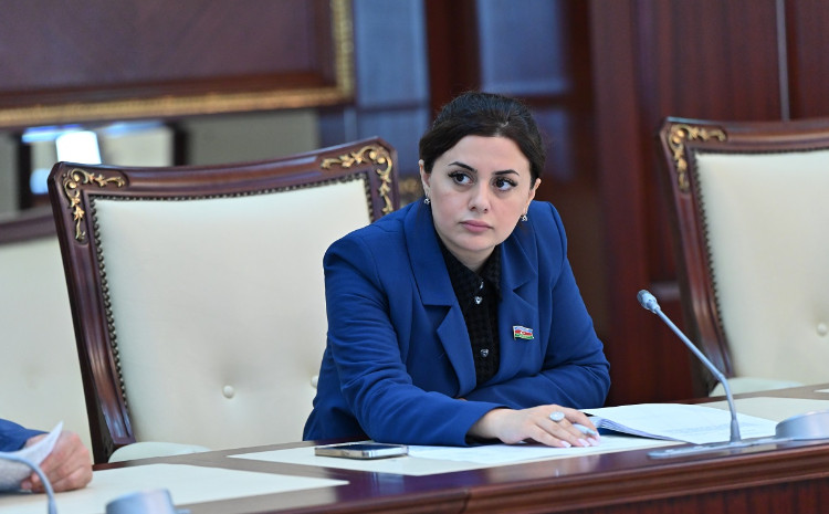 Aprel döyüşləri - Zəfərə aparan yolun başlanğıcı 