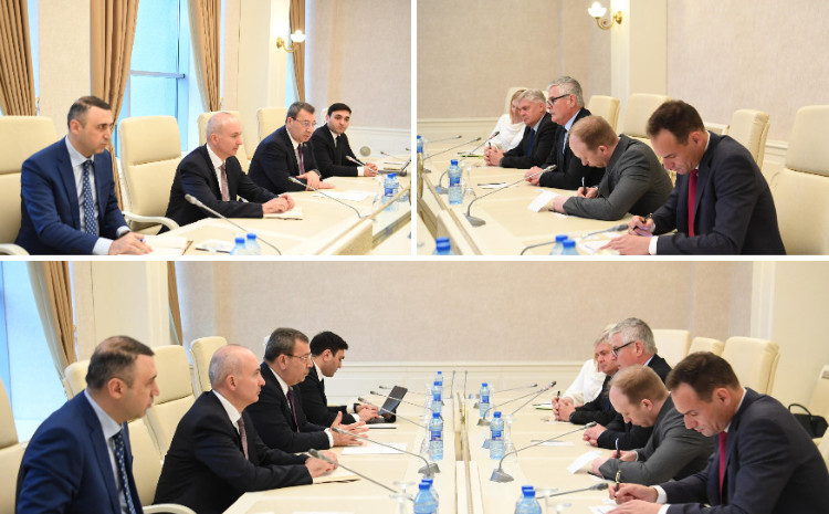 Sloveniya parlament nümayəndə heyəti ilə görüş 