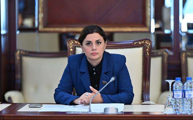 Beynəlxalq Mina ilə Məlumatlılıq Günü: Ermənistanın minaları hələ də can alır 