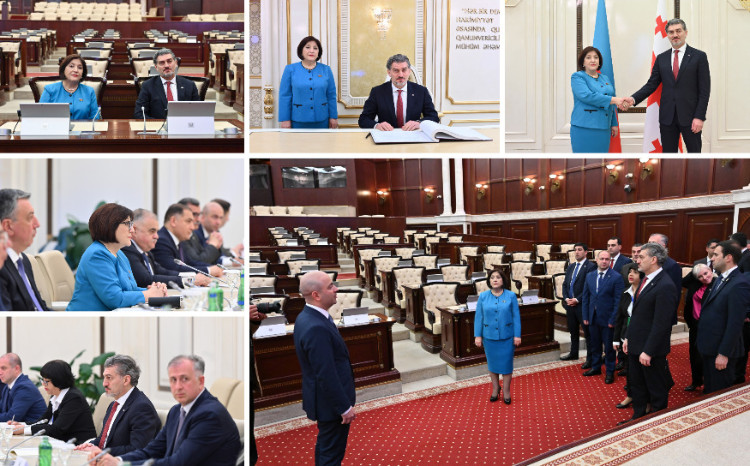 Спикер Милли Меджлиса Сагиба Гафарова встретилась с Президентом Грузии 