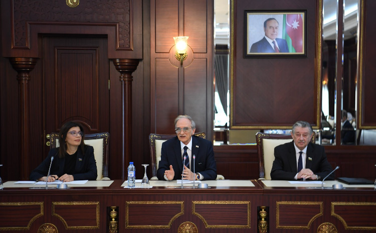 Milli Məclisin Mədəniyyət komitəsinin iclası keçirilib 