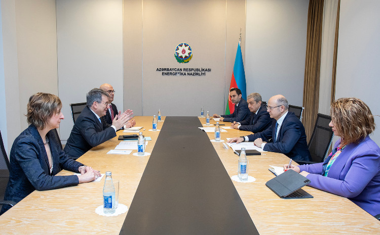 Energy Minister discussed the development of TAP project 