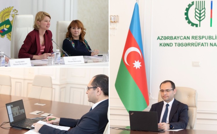 Nazir Məcnun Məmmədov və Rusiyanın kənd təsərrüfatı naziri Oksana Lut arasında onlayn görüş keçirilib 