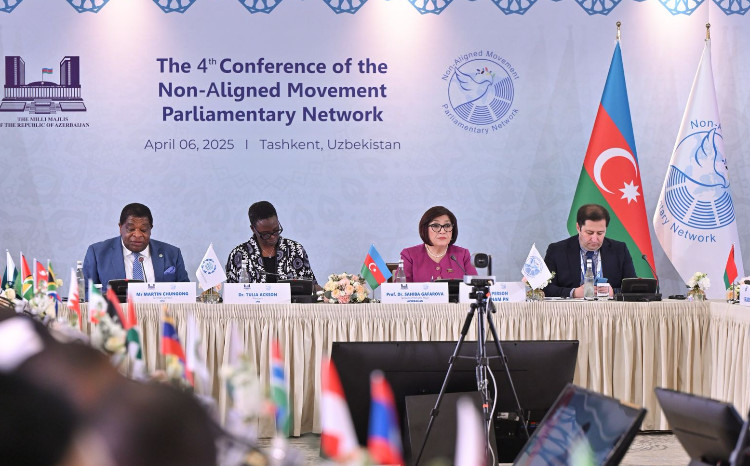 Сагиба Гафарова: учреждение Парламентской Сети – одно из значительных достижений азербайджанского председательства в Движении Неприсоединения 
