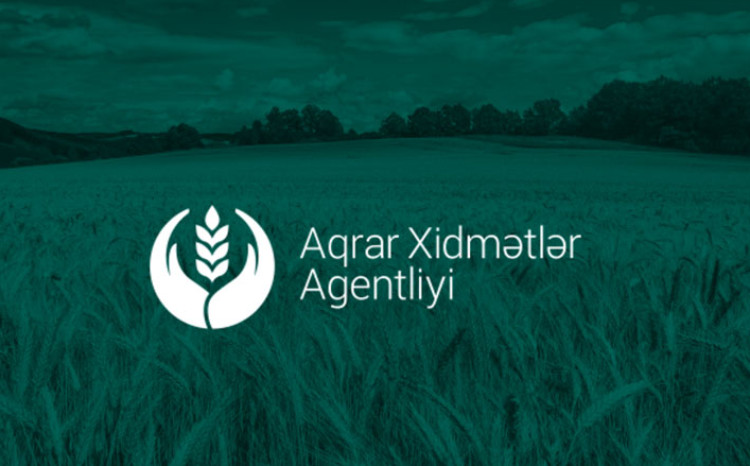 AXA gəmiriciləri zərərsizləşdirmək üçün 800 minlik dərman alacaq