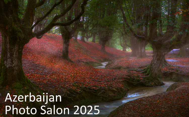 8-ci Azerbaijan Photo Salon adlı beynəlxalq fotomüsabiqə keçirilir 