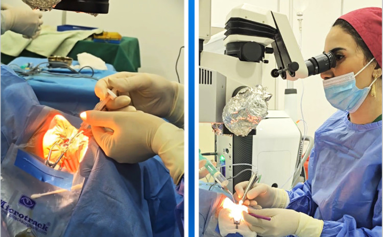 Kliniki Tibbi Mərkəzdə Katarakta və digər ön seqment əməliyyatlarının icrasına başlanılıb 