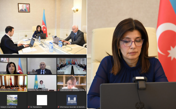 TÜRKPA-nın Təhsil, mədəniyyət, sosial və humanitar məsələlər komissiyasının onlayn iclasında 