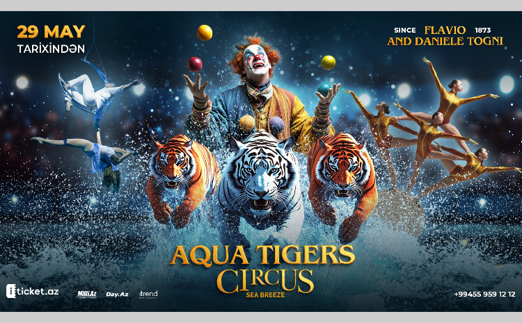 «Аква цирк с тиграми» - главное цирковое событие этого лета на сцене Circus Sea Breeze! 