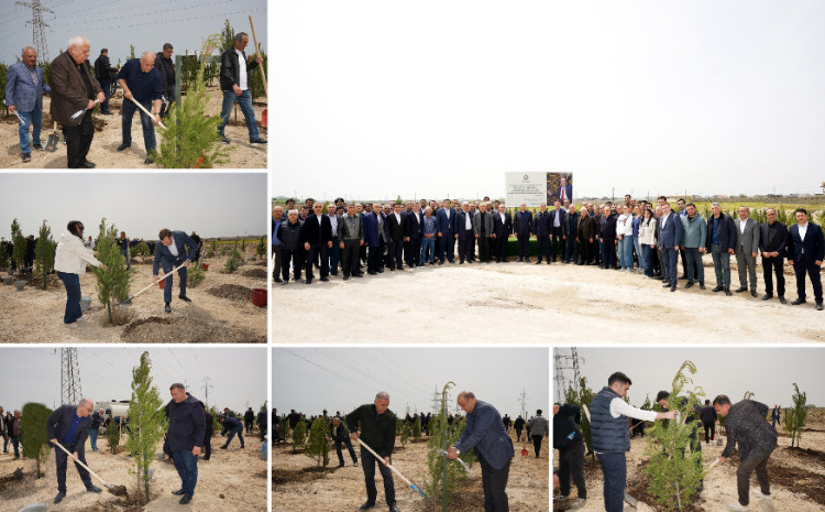 Ümummilli lider Heydər Əliyevin doğum günü münasibətilə ağacəkmə tədbiri keçirilib 