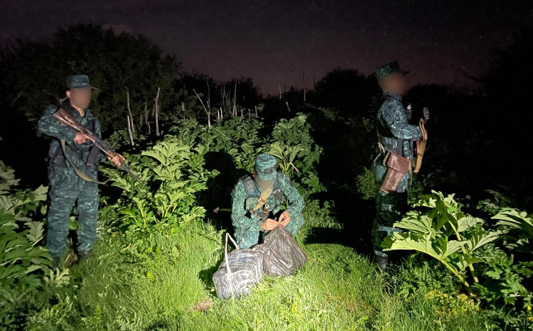 Külli miqdarda narkotik vasitənin ölkə ərazisinə keçirilməsinin qarşısı alınmışdır 