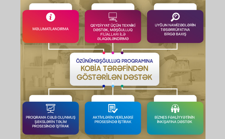 Sahibkarlığa gedən yol - Özünüməşğulluq proqramı ilə biznesə ilk addımınızı atın 