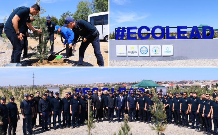 ECOLEAD Project Expands Green Spaces in Baku 