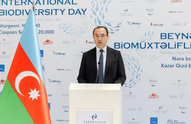 Nazir Məcnun Məmmədov koronavirusdan sağaldı