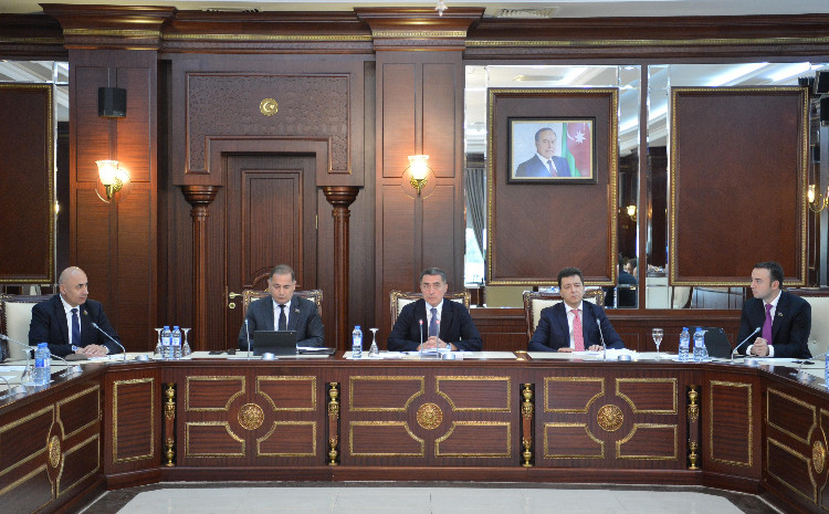 Hüquq siyasəti və dövlət quruculuğu və İqtisadi siyasət, sənaye və sahibkarlıq komitələrinin birgə iclasında 
