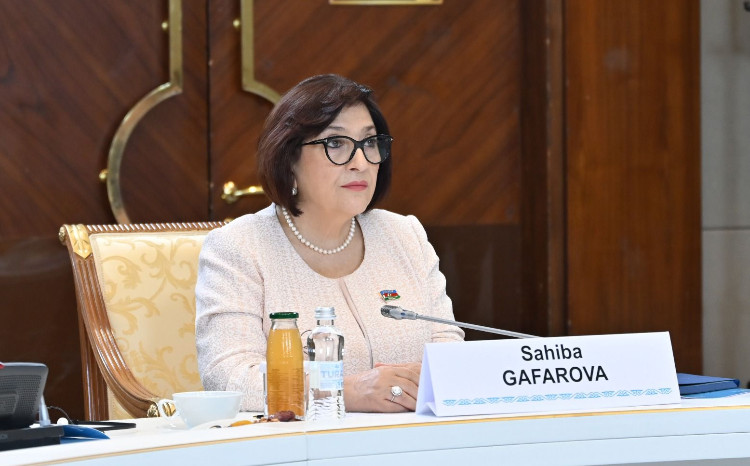 Sahiba Gafarova: ‘Every Step Taken during Milli Majlis Presidency Term in TURKPA to strengthen the Organisation’ 