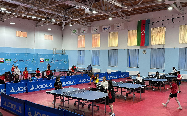 Stolüstü tennis üzrə ölkə birinciliyi başlanıb 