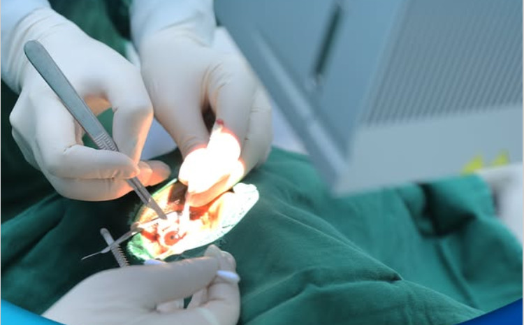 Uzman oftalmoloq Gülnar Sultanova may ayında 110 göz əməliyyatı gerçəkləşdirdi 