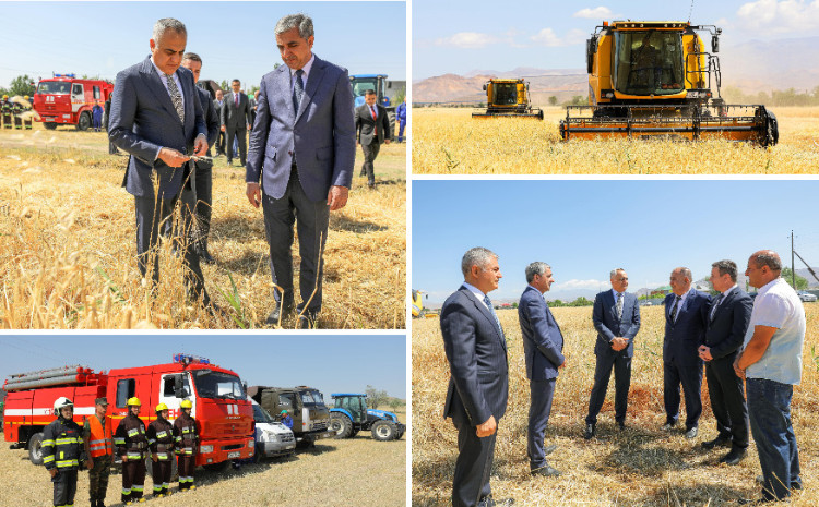 Naxçıvan Muxtar Respublikası üzrə mövsümün taxıl biçininə başlanılıb 