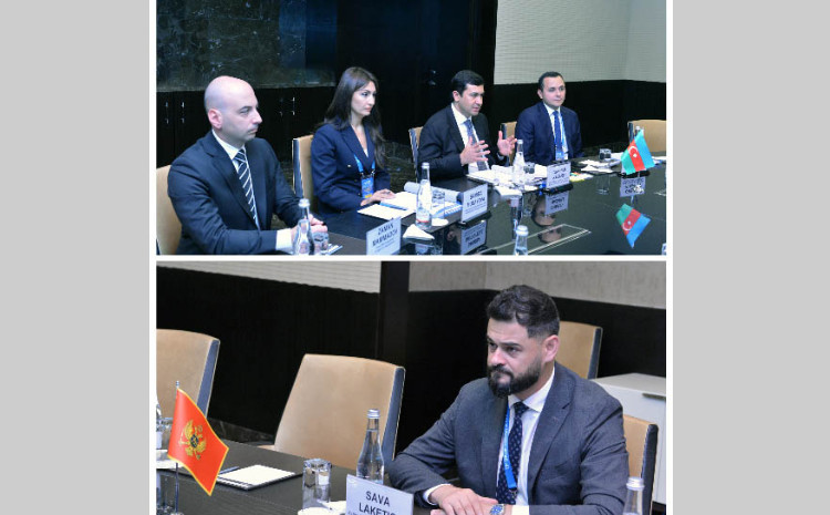 Monteneqro ilə vergi sahəsində təcrübə mübadiləsi aparılacaq 