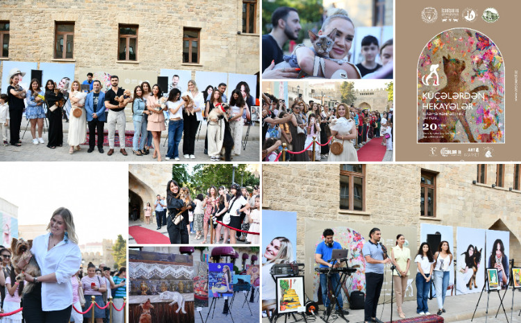İçərişəhərdə “Küçələrdən Hekayələr” sosial layihəsinin açılışı baş tutdu 