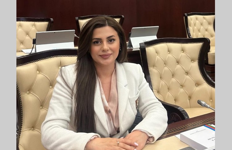 15 İyun - Milli Qurtuluş Günü: Azərbaycan dövlətçiliyinin xilası və sabit inkişafın başlanğıcı 