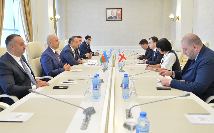 Milli Məclisin Gənclər və idman komitəsində Gürcüstan parlamentariləri ilə görüş keçirilib 