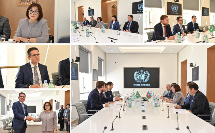 Спикер Милли Меджлиса Сагиба Гафарова встретилась со спикером Палаты депутатов Бразилии 