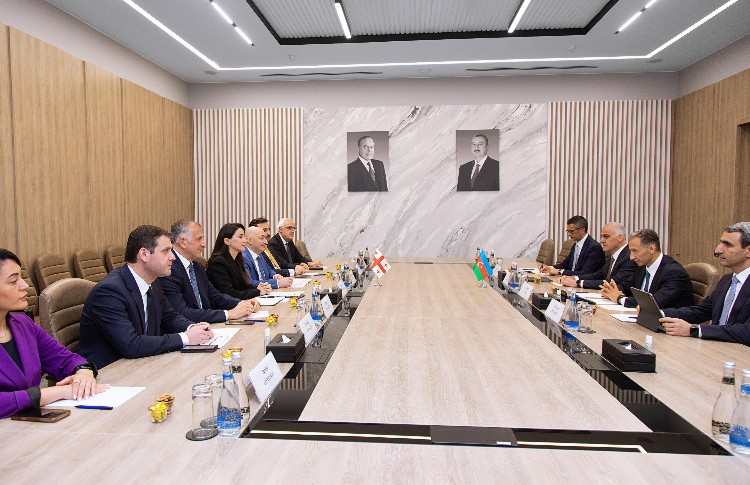 Nazir Rəşad Nəbiyev Gürcüstanın iqtisadiyyat və davamlı inkişaf naziri Mariam Kvrivişvili ilə görüşüb 