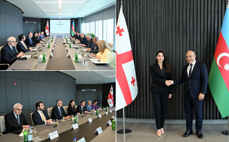 Состоялась встреча с грузинской делегацией 