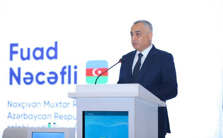 Fuad Nəcəfli: Muxtar respublikada son iki il ərzində 6 yeni yataq kəşf edilib 