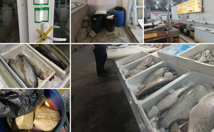 “Keşlə” bazarında istehlaka yararsız balıq məhsulları aşkarlanıb 