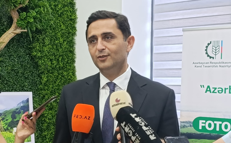 Aqrar Sığorta Fondu: Quşçuluq və arıçılıq təsərrüfatlarının da sığortalanması planlaşdırılır 