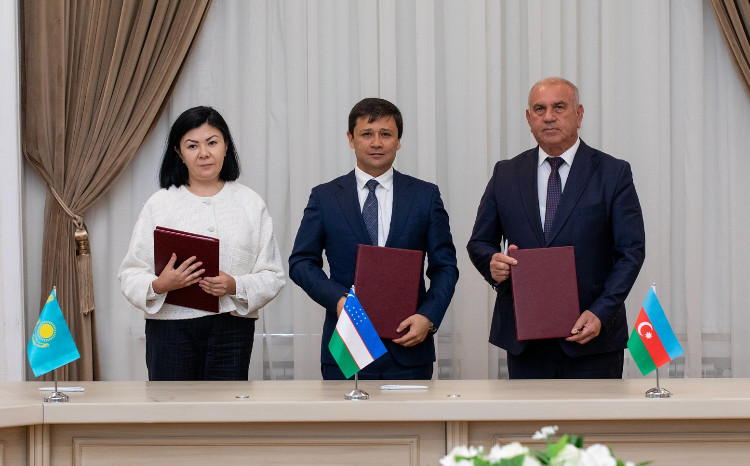 Joint venture set up for Azerbaijan-Central Asia Green Energy Corridor project 