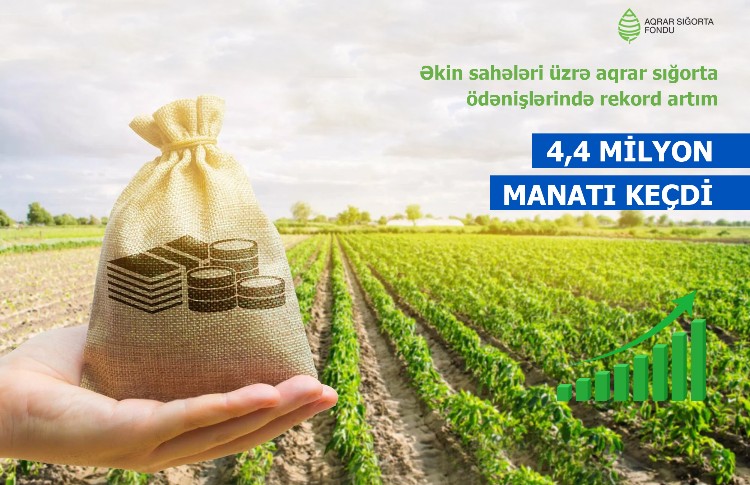 Əkin sahələrinə görə sığorta ödənişləri 2 dəfə artdı - Yeni rekord