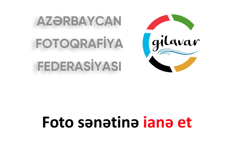 “Foto sənətinə ianə et” kampaniyasına başlanılıb - FOTO