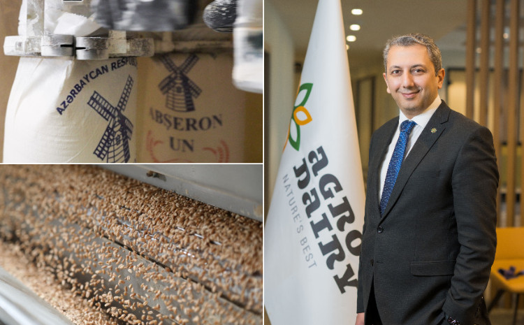 Yerli buğda emalında yeni rekord: “Agro Dairy” ərzaq təhlükəsizliyində liderliyini möhkəmləndirir 
