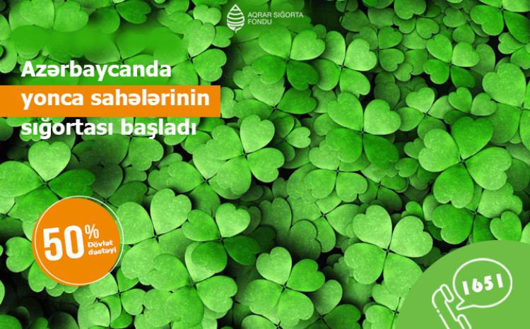Yonca sahələrinin sığortalanması prosesinə start verilib 