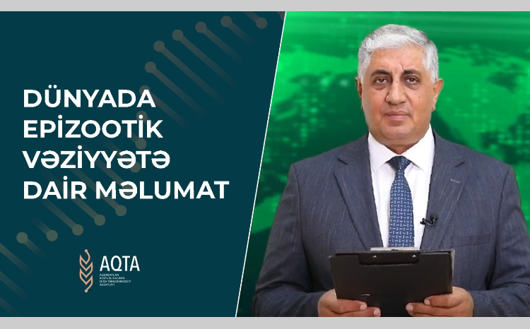 Dünyada epizootik vəziyyətə dair - VİDEOMƏLUMAT