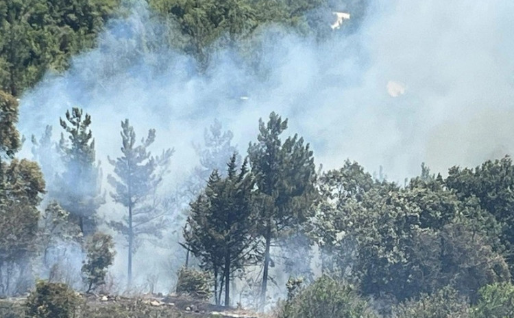 ETSN: ani ehtiyatsızlıq qarşısıalınmaz yanğınlara səbəb olar, təbiət ərazilərinə və ekosistemə ciddi zərər dəyər 