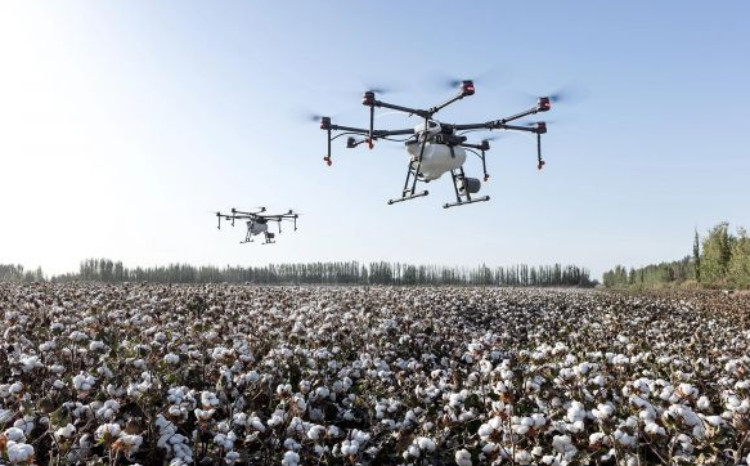 Prime Cotton beynəlxalq sertifikatlarla mövqeyini gücləndirərək 30 illik yubileyinə inamla qədəm qoyur