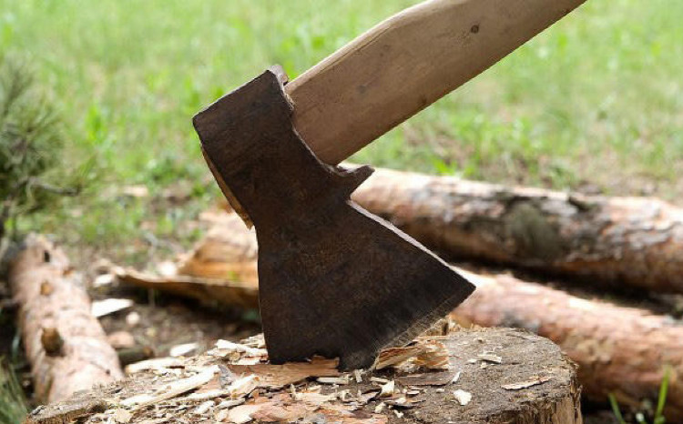 Dövlət Ekoloji Təhlükəsizlik Xidməti qanunsuz kəsintiləri aşkar etdi 