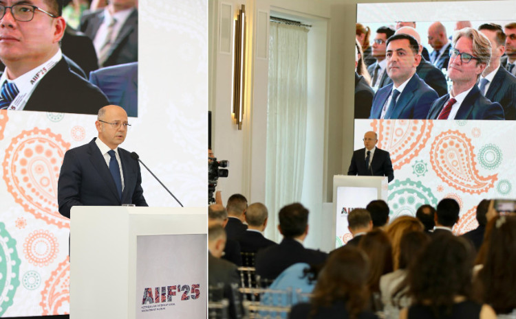 Energy Minister spoke about green energy partnership of Central Asia and South Caucasus regions 