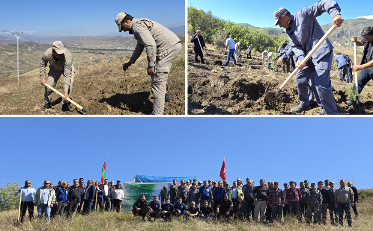 Anım Günü ilə əlaqədar ağacəkmə tədbiri keçirilib 