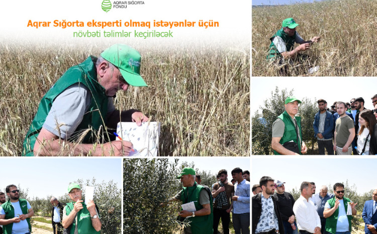 Aqrar sığorta eksperti olmaq istəyənlər üçün növbəti təlimlər keçiriləcək 